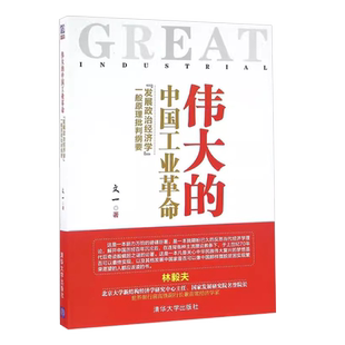 正版伟大的中国工业革命 发展政治经济学一般原理批判纲要 清华大学出版社 破解中国工业革命之谜经管励志经济类教材教程书籍
