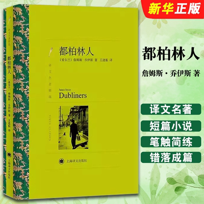 正版都柏林人 詹姆斯乔伊斯著 王逢振译 译文名著精选 上海译文出版社 外国名著书籍 外国文学小说外国名著读物书籍