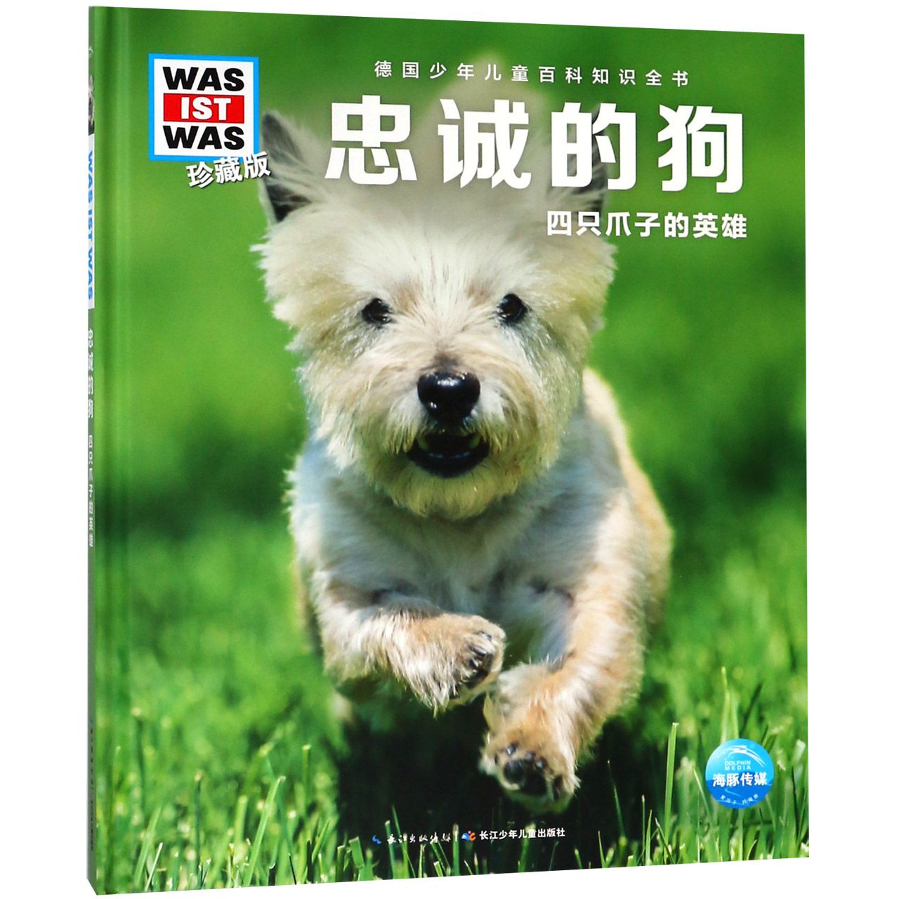 忠诚的狗四只爪子的英雄