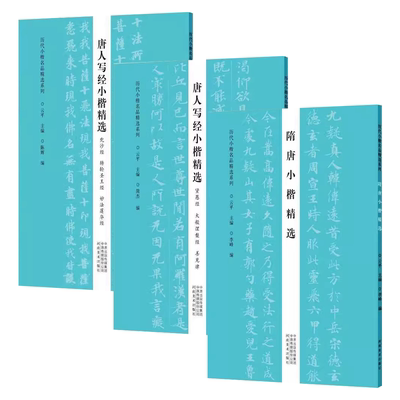 正版全套3册 唐人写经小楷精选 妙法莲华经 贤愚经 大般涅槃经 善见律 兜沙经 转轮圣王经 隋唐小楷精选 河南美术社 毛笔楷书字帖