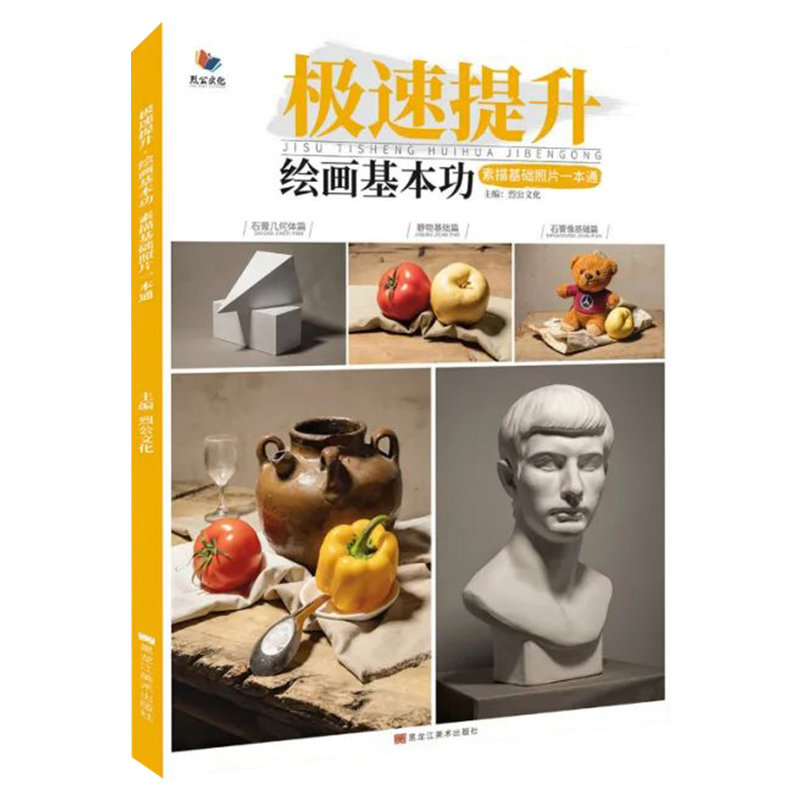 正版极速提升绘画基本功素描基础照片一本通 烈公文化 单个组合素描石膏几何体静物石膏像照片写生美术高考绘画联考教材教程书