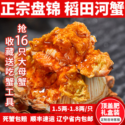 盘锦河蟹16只全母稻田蟹河蟹礼盒