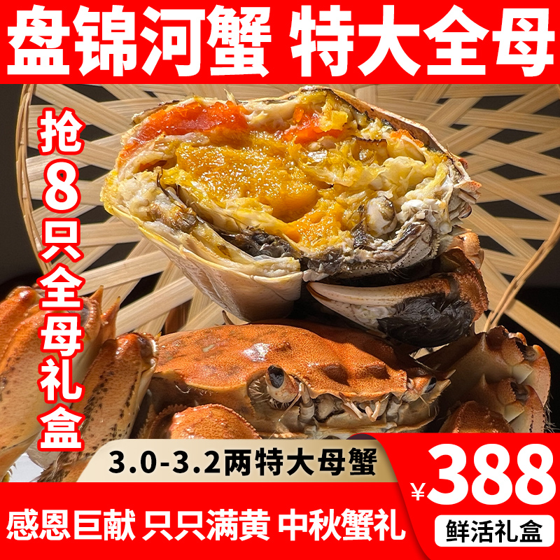 盘锦河蟹全母特大蟹8只3-3.2两稻田蟹鲜活母蟹大闸蟹礼盒辽宁包邮