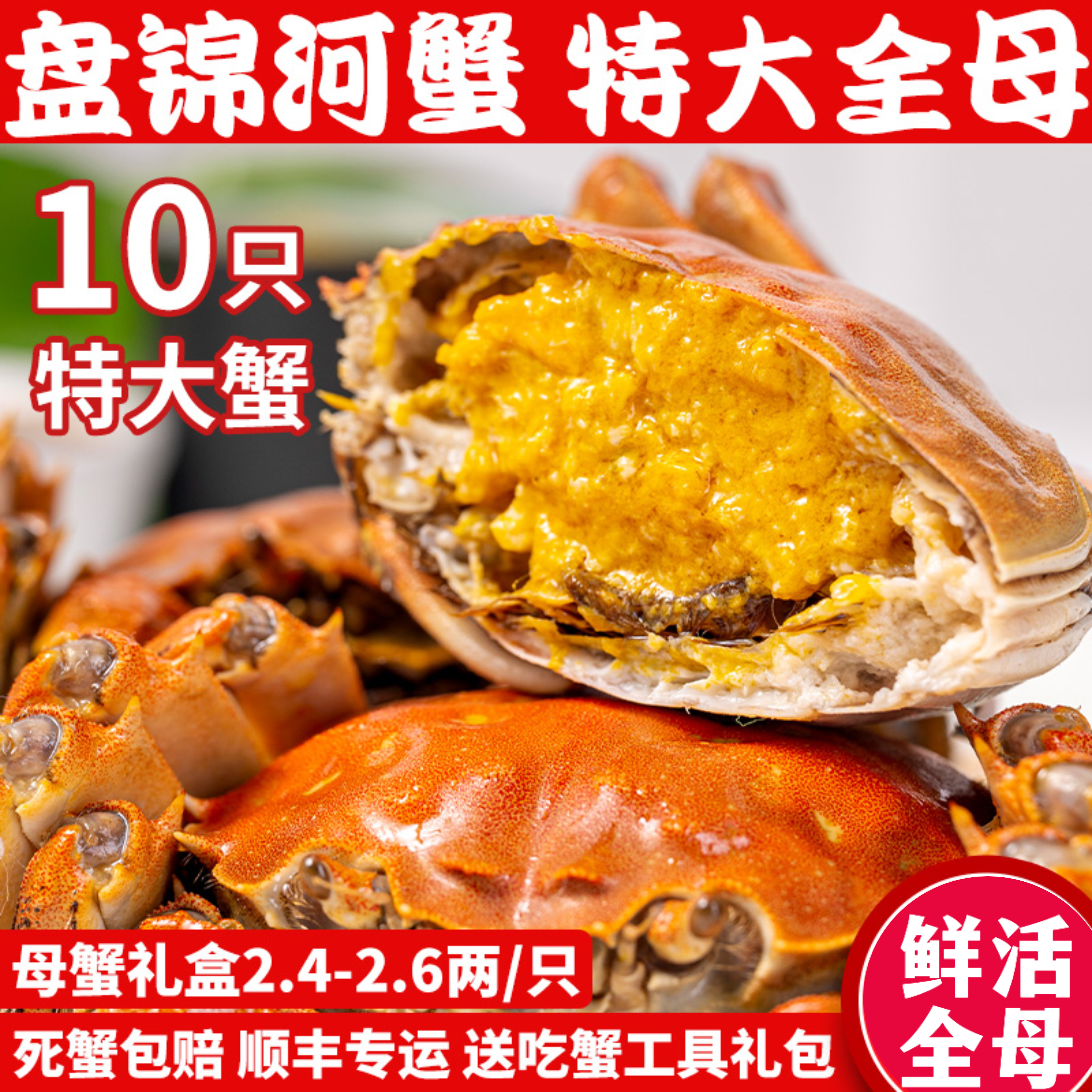 盘锦河蟹特大10只2.5两母蟹礼盒