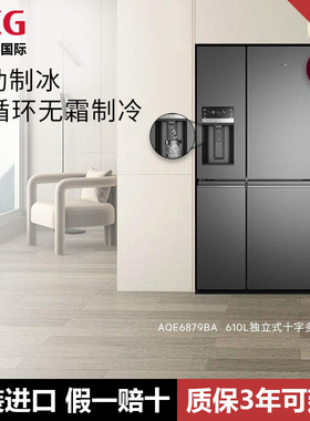 AEG进口十字四门冰箱610L大容量自动制冰AQE6879BA