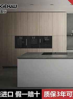 GAGGENAU嘉格纳200系列组合式蒸汽烤箱微波炉嵌入式烤箱BSP251101