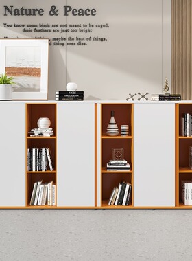 现代简约橙色办公柜矮柜木质办公室双门创意储物柜文件柜隔断柜子