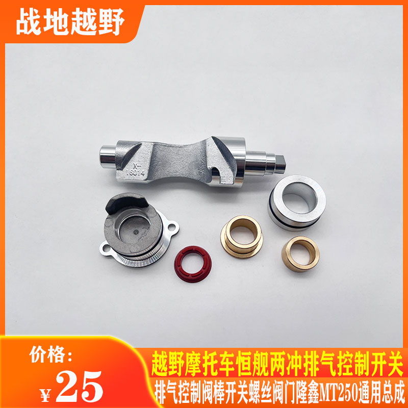 恒舰两冲隆鑫MT250排气阀门总成