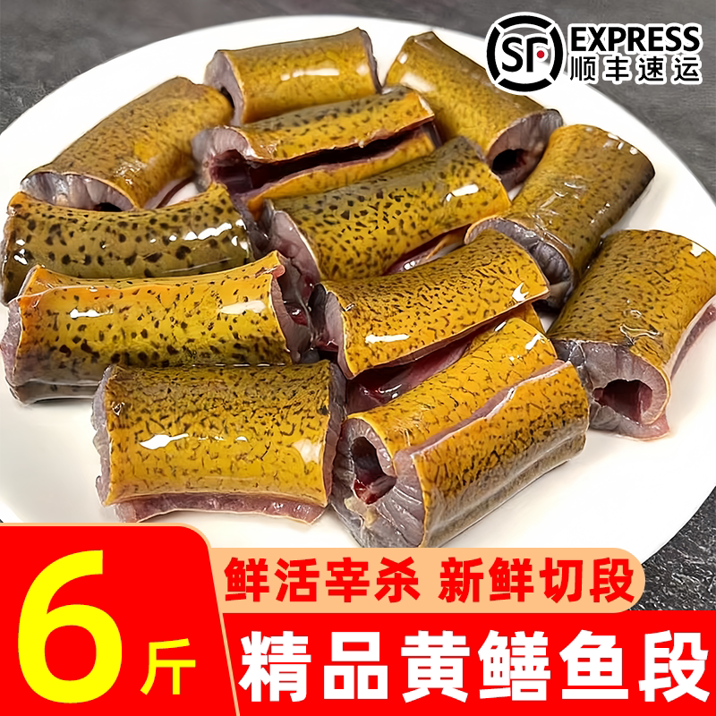 黄鳝鲜活现杀切段新鲜冷冻去头尾