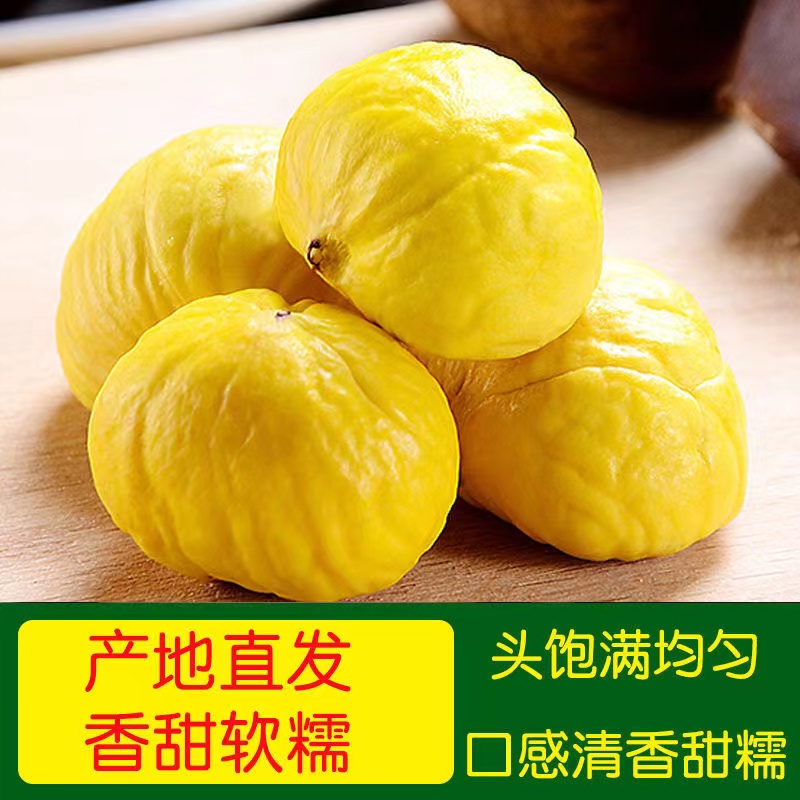 罗田板栗生新鲜板栗仁去壳去皮毛栗子油生板栗甘栗仁
