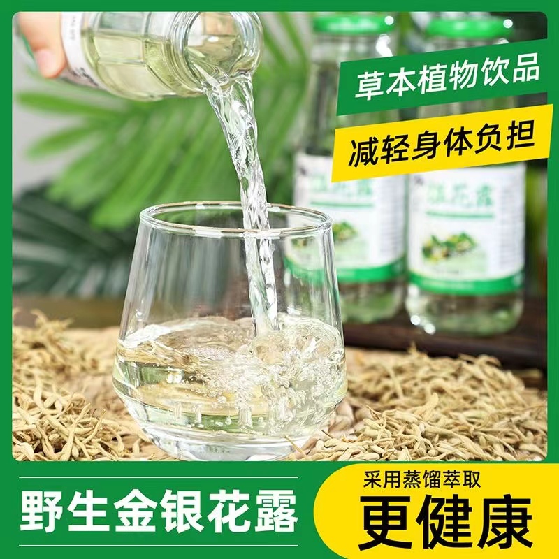 金银花清热降火整箱6瓶野生金银花露甘露植物饮料凉茶