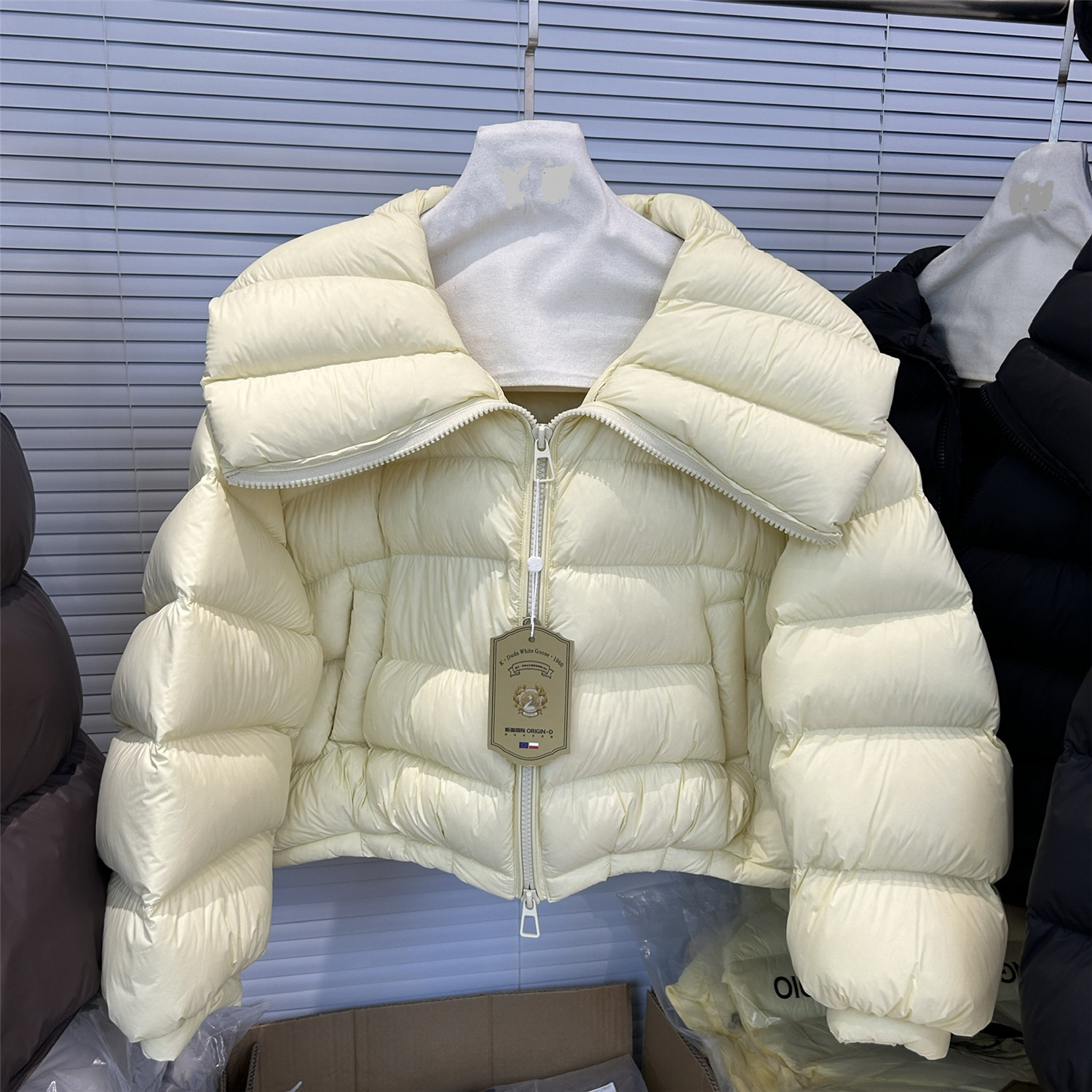 欧洲站欧货娃娃领短款白鹅绒羽绒服女2025新款云朵泡芙高级感外套