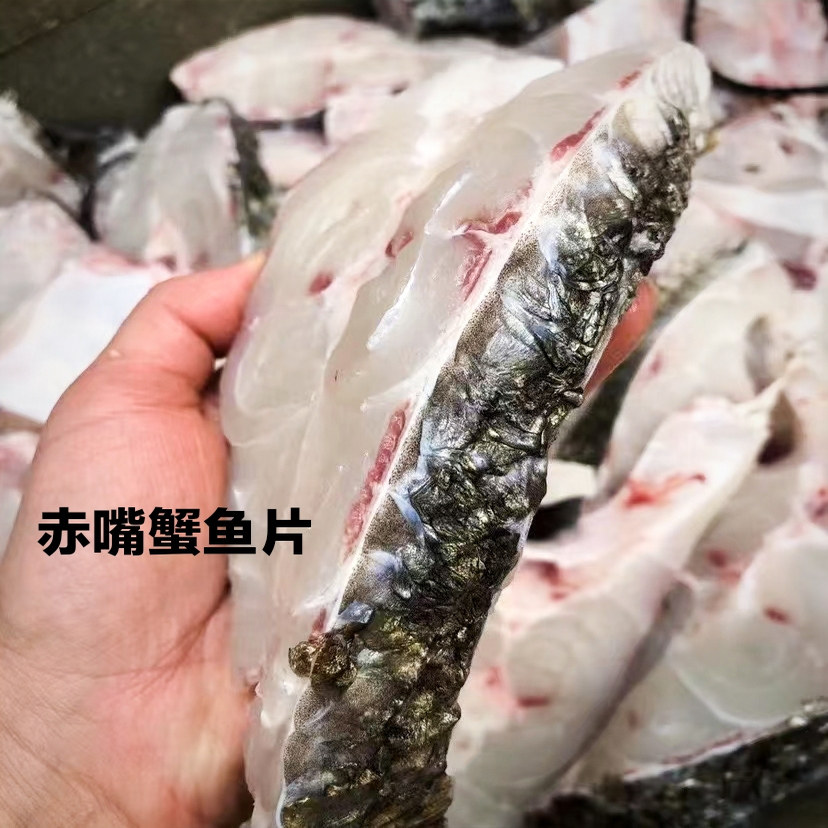 新鲜赤嘴鳖鱼片鮸鱼冷冻新鲜鱼鮸鱼片海鲜产品商用海鮸之乡半成品