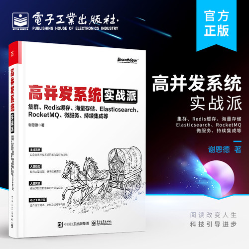 正版高并发系统实战派 集群 Redis缓存 海量存储 Elasticsearch RocketMQ 微服务 持续集成等 企业系统技术框架搭建技术书籍