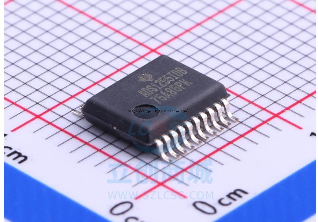ADS1255IDBR ADS1255IDB SSOP20 24位30kSPS极低噪声 全新原装