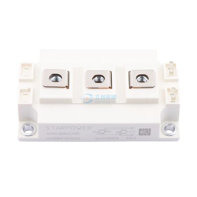 GD300HFX65C2S Starpower(嘉兴斯达) - 现货