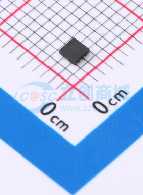 PAM2841GR DIODES(美台) UDFN-8-EP(2x2) 现货