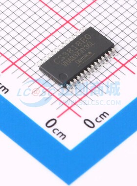 CS3818EO CRMICRO(华润微) HTSSOP-28 现货