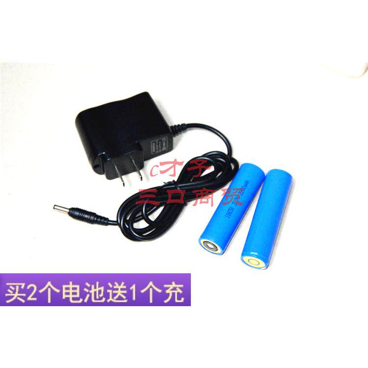 正超BZC6022 6012 6020 SZC1016强光巡检防爆手电筒锂电池 充电器