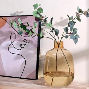 「落地大花瓶」大容量高标准玻璃花瓶小口大肚木本类鲜切枝专用
