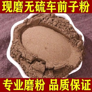 纯车前子粉中药材超细饮炒车前子茶片泡水冲剂泽泻车前草籽中草药