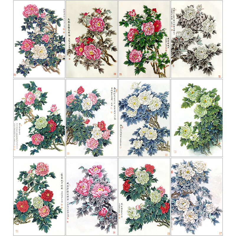 牡丹素材临摹练习线描稿实物国画