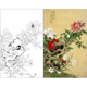 TP381工笔画牡丹临摹画稿白描底稿国画花鸟画四尺六尺线描打印稿