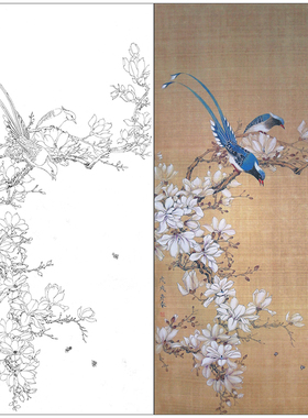 tp352工笔花鸟画白描国画斗方