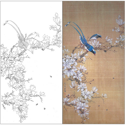 tp352工笔花鸟画白描国画斗方