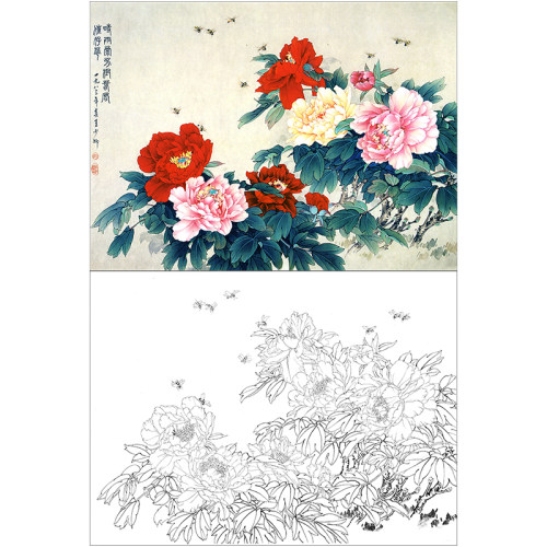 xp16王少卿工笔画牡丹小品线描稿