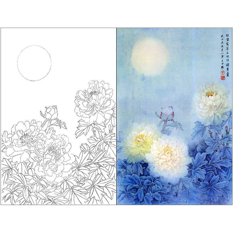 TP401周中耀工笔画牡丹白描底稿国画花鸟素材临摹练习线描打印稿