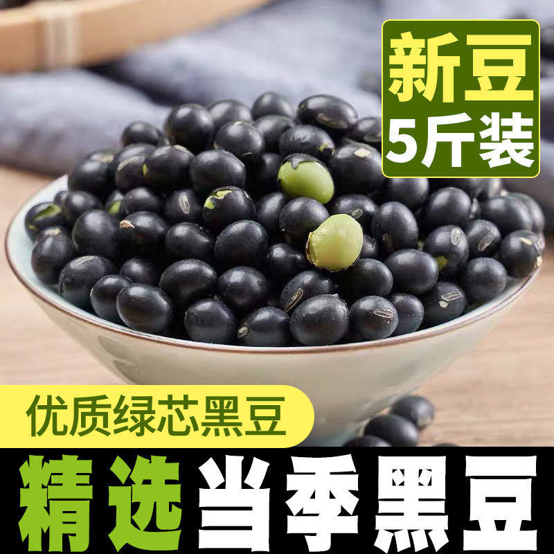 东北黑豆绿芯颗粒饱满打豆浆专用非转基因生绿心小仁农家杂粮500g