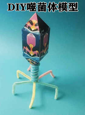 噬菌体模型生物科学实验初高中教具手工diy材料包科技小制作发明
