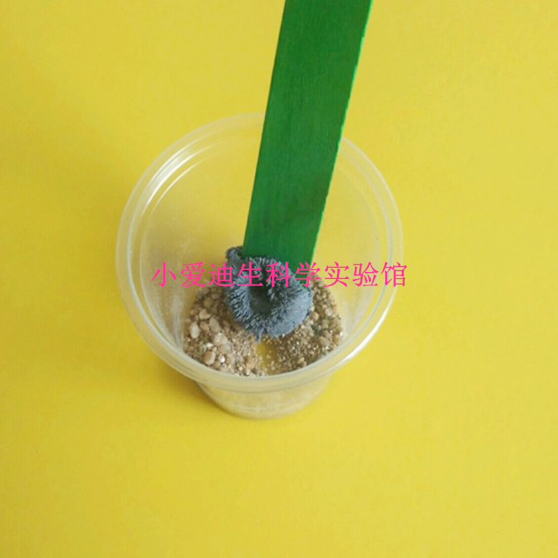 玩具幼儿园磁铁手工科技小制作