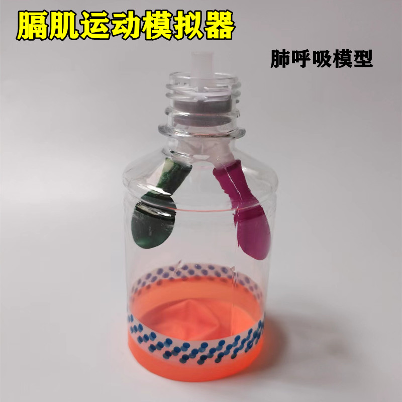 膈肌运动模拟演示器科学实验生物科技制作diy人体教具肺呼吸模型-封面