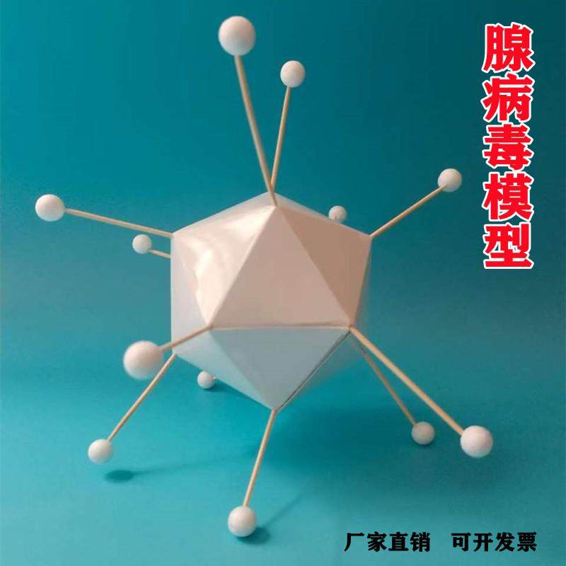 腺病毒模型DIY初中生物自制教具