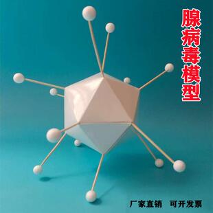 腺病毒立体模型生物教具手工diy材料科学实验小制作社团发明作业