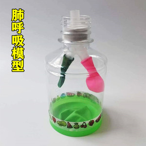 肺呼吸初中生物实验教学模型科学手工制作材料膈肌运动模拟演示器