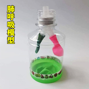 肺呼吸初中生物实验教学模型科学手工制作材料膈肌运动模拟演示器