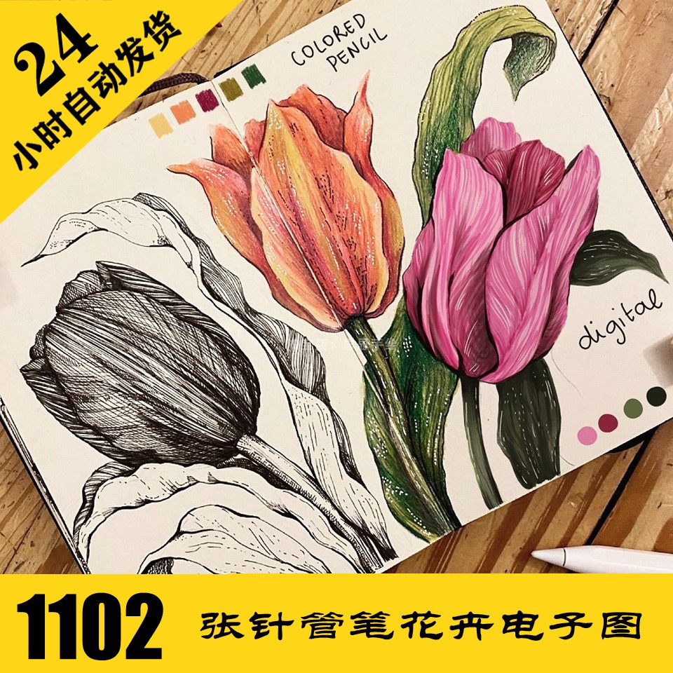 C101 针管笔植物插画 花卉线描...