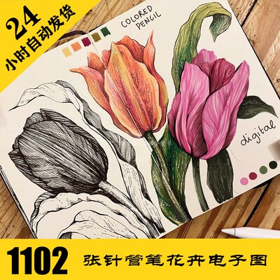 C101 针管笔植物插画 花卉线描电子图1102张送55段短视频 持续更