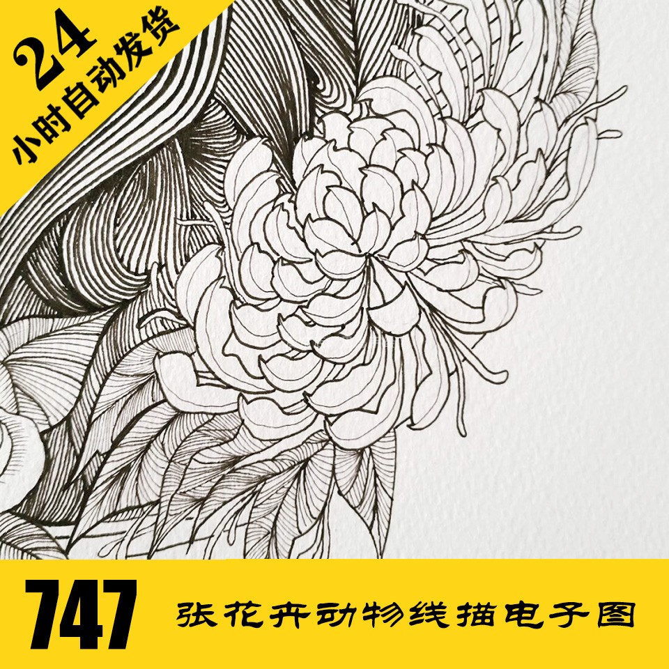 C247 花卉动物针管笔插画 电子图747张 线描植物素材 持续更新