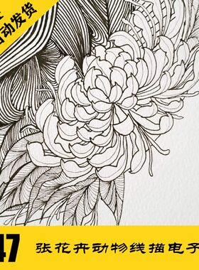 C247 花卉动物针管笔插画 电子图747张 线描植物素材 持续更新