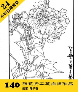 G020 国画植物线描学习素材 陈子奋花卉工笔白描作品集140张