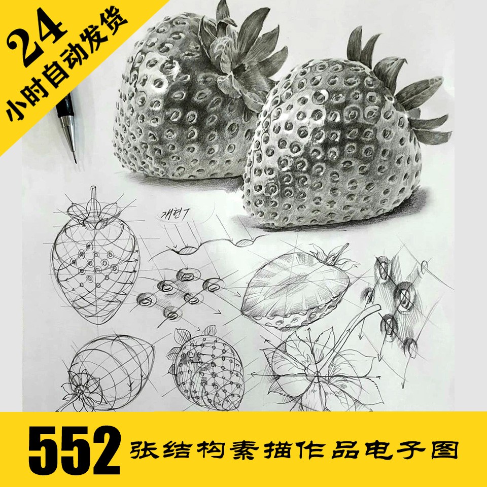 S050 结构素描电子图552张 人物动物静物素描 临摹素材 持