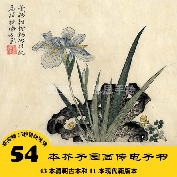 G033 54份芥子园画传 山水人物花卉国画资料 24小时自动发