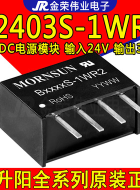 B2403S-1WR2 金升阳 DC-DC隔离电源模块 B2403S-1W 24V转3.3V模块