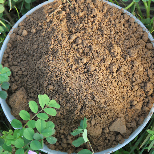睡莲培养土长久肥力不浑水