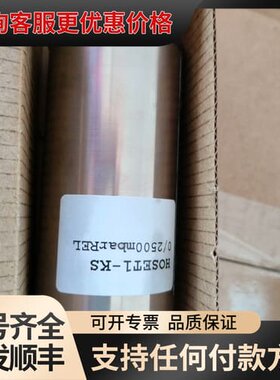 议价HOPPE 压载探头Hoset1--kS 0/2500mb可维修