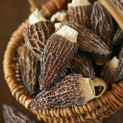 精选头茬云南六妹羊肚菌剪柄干货